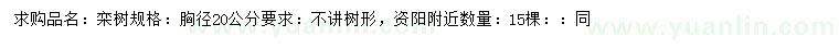 求購胸徑20公分欒樹