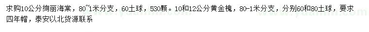 求購10公分絢麗海棠、10、12公分黃金槐