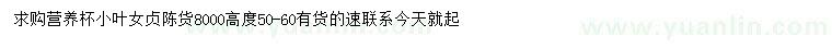 求購高50-60公分小葉女貞