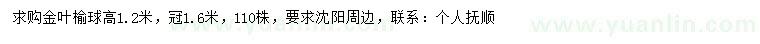 求購高1.2米金葉榆球