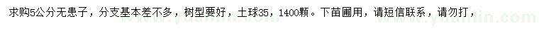 求購5公分無患子