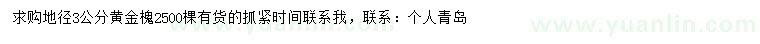 求購地徑3公分黃金槐