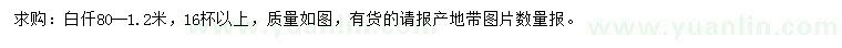 求購 0.8-1.2米白仟