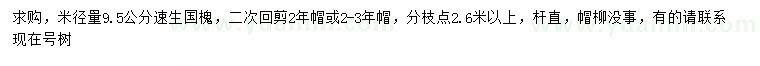 求購米徑9.5公分速生國槐