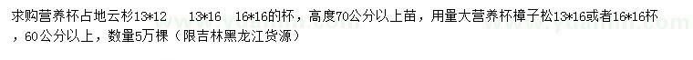 求購高70公分以上云杉、60公分以上樟子松