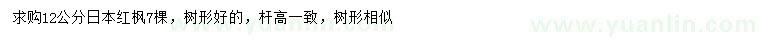 求購12公分日本紅楓
