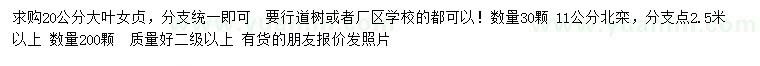求購20公分大葉女貞