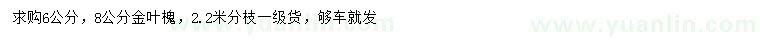 求購6、8公分金葉槐