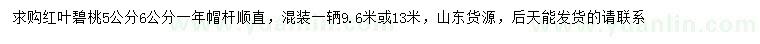 求購(gòu)5、6公分紅葉碧桃