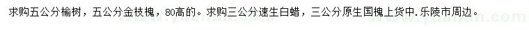 求購(gòu)榆樹、金枝槐、速生白蠟等