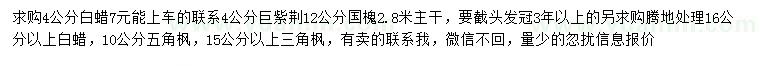 求購白蠟、巨紫荊、國槐等
