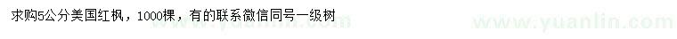 求購5公分美國紅楓