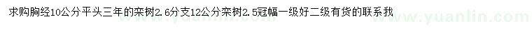 求購胸徑10公分欒樹、12公分欒樹