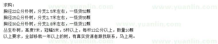 求購胸徑22、25、30公分樸樹、高7米叢生樸樹