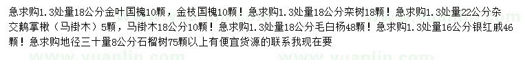 求購金葉國槐、欒樹、鵝掌楸等