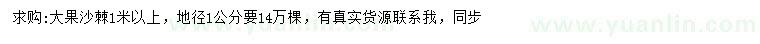 求購1米以上大果沙棘