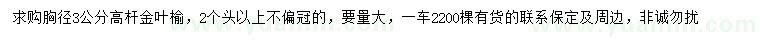 求購胸徑3公分高桿金葉榆