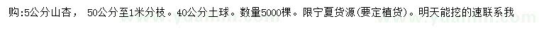 求購5公分山杏