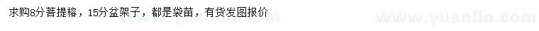 求購8公分菩提榕、15公分盆架子