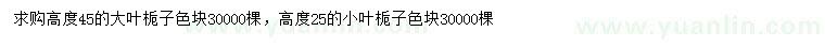 求購高45公分大葉梔子、高25公分小葉梔子