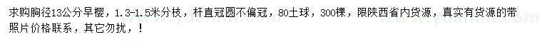 求購(gòu)胸徑13公分早櫻