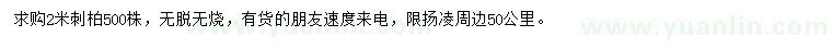 求購(gòu)2米刺柏