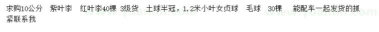 求購紫葉李、紅葉李、小葉女貞球