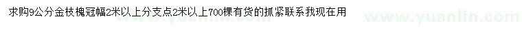 求購(gòu)9公分金枝槐