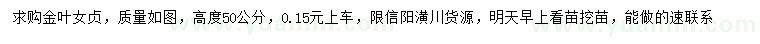 求購高50公分金葉女貞