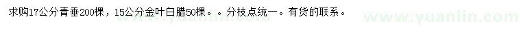 求購(gòu)17公分青垂、15公分金葉白蠟