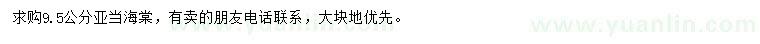 求購9.5公分亞當海棠