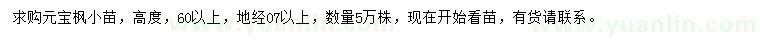 求購高60公分以上元寶楓
