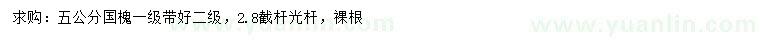 求購5公分國槐
