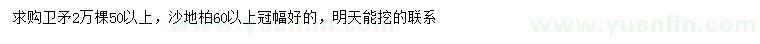 求購50公分以上衛(wèi)矛、60公分以上沙地柏