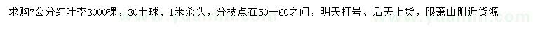 求購7公分紅葉李