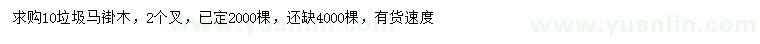 求購10公分馬褂木