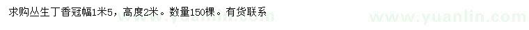 求購冠幅1.5米叢生丁香