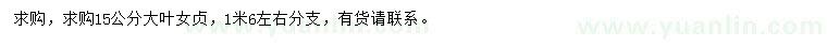 求購15公分大葉女貞