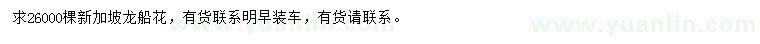 求購新加坡龍船花