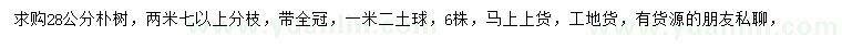 求購28公分樸樹