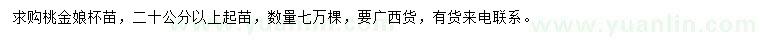 求購20公分以上桃金娘