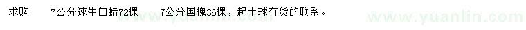 求購7公分速生白蠟、國槐