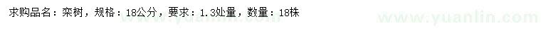 求購1.3米量18公分欒樹
