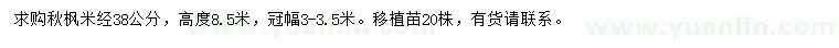 求購米徑38公分秋楓
