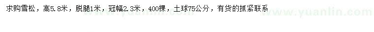 求購高5.8米雪松