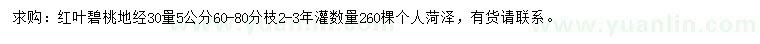 求購30公分量5公分紅葉碧桃