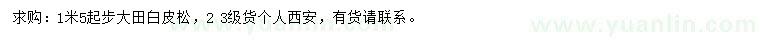 求購(gòu)1.5米以上白皮松