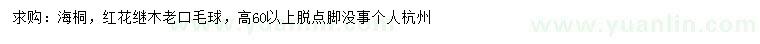 求購高60公分以上海桐、紅花繼木