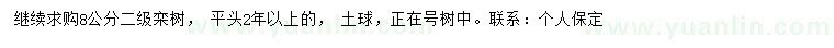 求購8公分欒樹