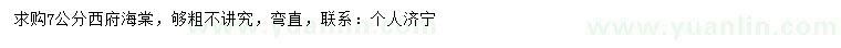 求購7公分西府海棠
